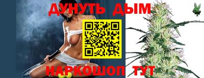 mdpv Можга